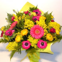 Speciale 8 marzo