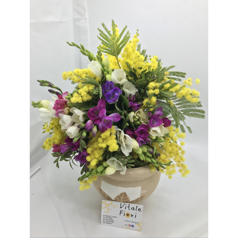 Fresie e mimose