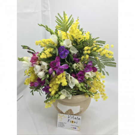 Fresie e mimose