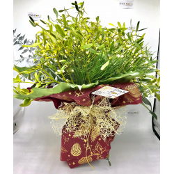 Bouquet Vischio bianco